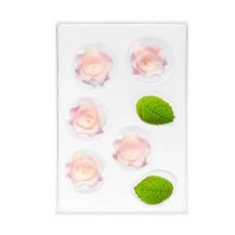 Cukrová dekorace Růže malá bílo-růžová s lístky (11 ks)