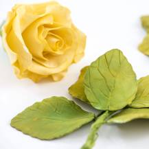 Cutter Decora Liście róży (4 szt.)