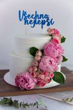 Happy Birthday Cake Topper/ Blue